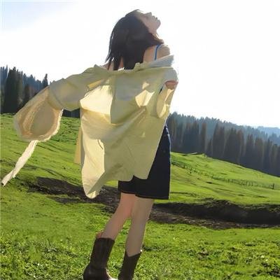 攻壳机动队 新剧场版
